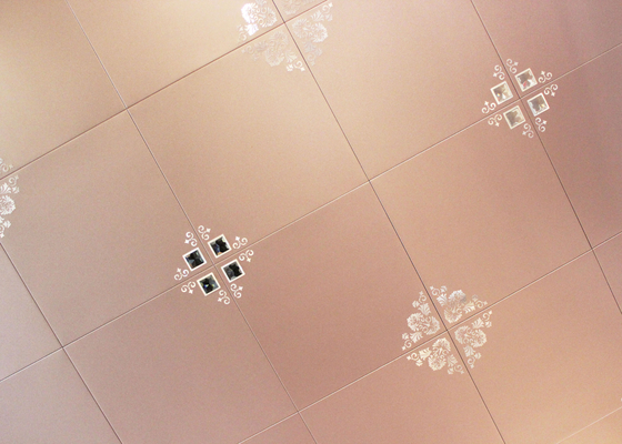 300mm x 300mm het Verfraaien Artistiek Plafond, Commerciële Metaalplafondtegel voor badkamerss
