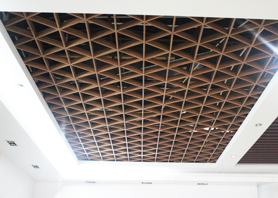 Het modieuze Roestvrije Aluminium schortte Open het Traliewerkplafond van het Netplafond voor het Winkelen Post op