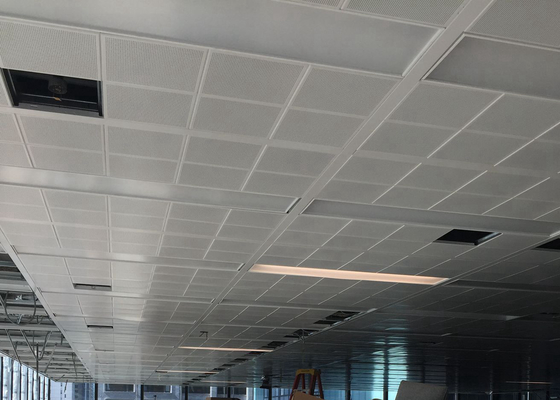 1 ' ×1 ' de Witte Klem van de Kleurenperforatie Φ2.3 in Plafond voor de Bureaubouw