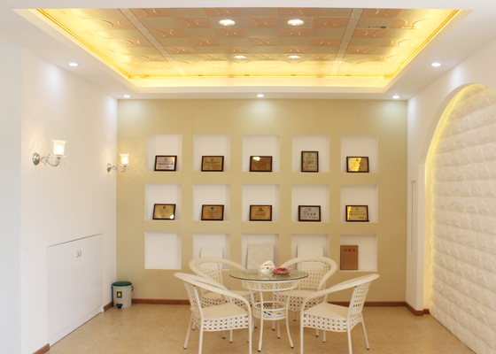 De woontegels van het Metaal Artistieke Plafond, Plafond Decoratief Comité voor Huis