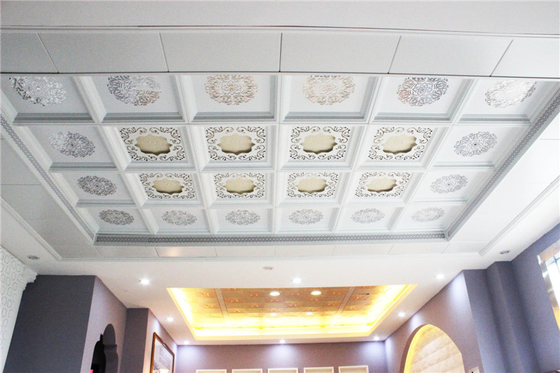 0.6mm het Plafondcomités van de Aluminiumdaling voor Woonkamerdecoratie