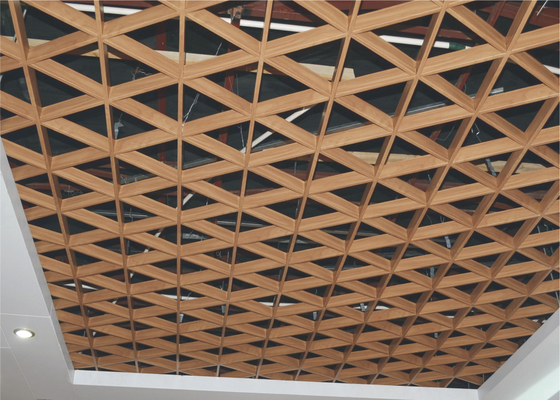 duurzaam Groen het Netplafond van het Galerij Driehoekig Metaal/decoratieve metaalbouwmaterialen