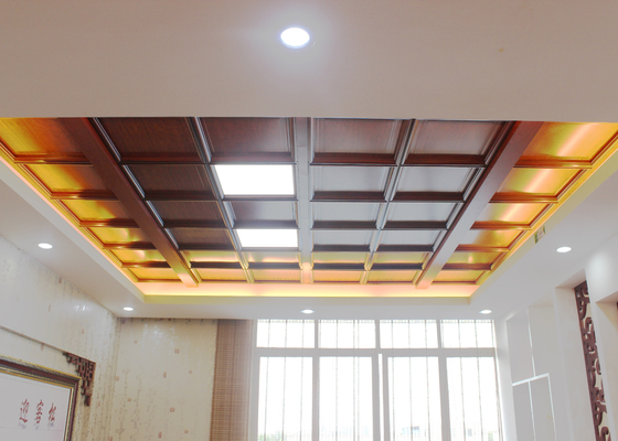 Artistieke de Tegelsdaling van het Aluminiumplafond voor Moderne Huisdecoratie